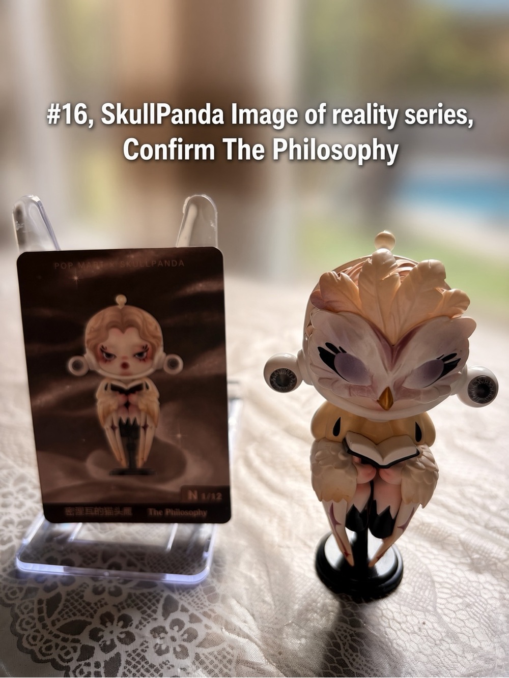 #16, SkullPanda Image of Reality Confirm The Philosophy Figurine plus Card. - Picture 4 of 7